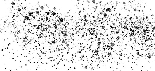 Fototapeta premium Black Ink Splatter and Paint Spatter Texture Overlay with Fine Dust Particles on transparent background