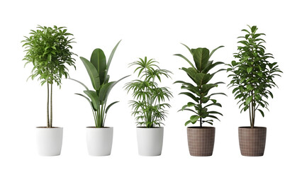 Obraz premium Five plants in pots isolated on transparent background