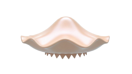 3D Render of a Pinkish-Brown Seashell with Jagged Edges