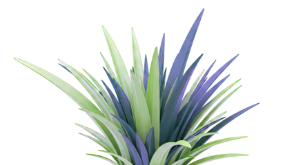 Green Blades of Grass