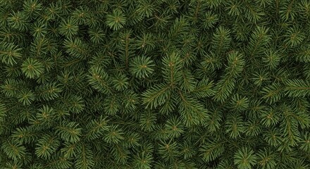 Dense evergreen tree branches with lush green needles