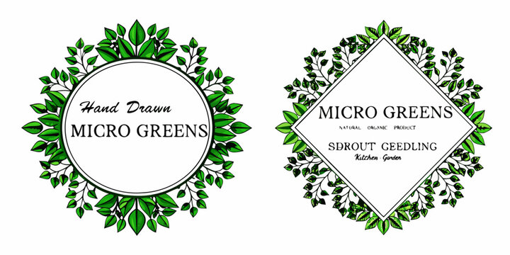 Floral frame designs with text micro greens and hand drawn elements