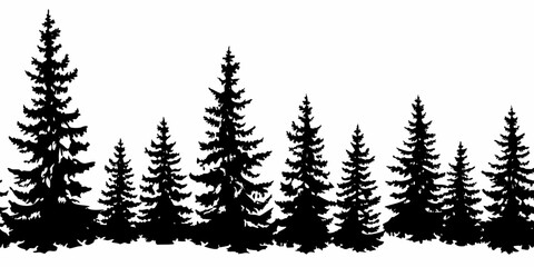Fototapeta premium Silhouette of a dense coniferous forest with varying tree heights