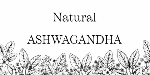 Natural ashwagandha illustration with botanical leaves and berries design © Sourav