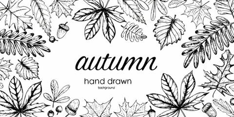 Obraz premium Detailed black and white illustration of autumn leaves acorns and decorative text