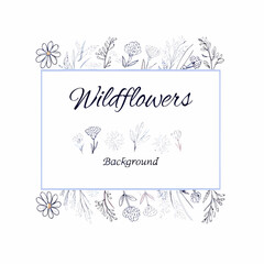 Obraz premium Delicate floral arrangement with wildflowers and botanical illustration in a rectangular frame