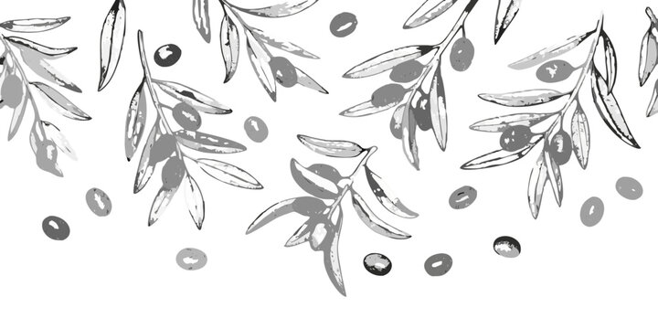 Delicate olive branch and fruit illustration against a dark background