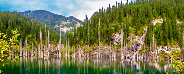 Sunken forest of Lake Kaindy in Kazakhstan. Beautiful mountain natural landscape. A blue lake with tree trunks sticking out of it. Panoramic view of the reserve.