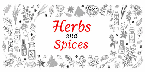 A botanical illustration featuring various herbs spices and apothecary bottles