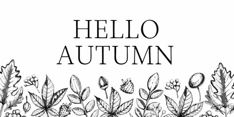 Hello autumn a beautiful sketch with floral and botanical elements