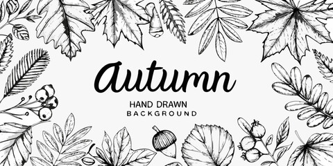 Detailed botanical illustration of autumn leaves and decorative hand lettered text