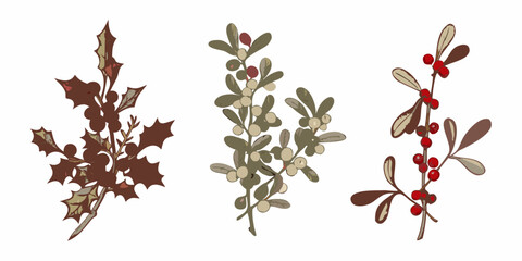 Botanical illustration of holly and mistletoe branches with berries