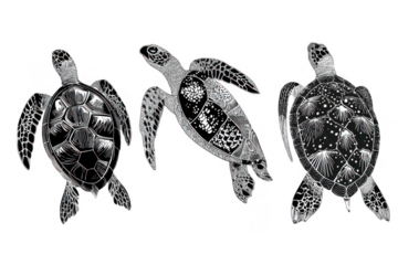 Three turtles are shown in a row