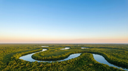Aerial View of Winding River in Mangrove Wetland with Sky Copy Space.