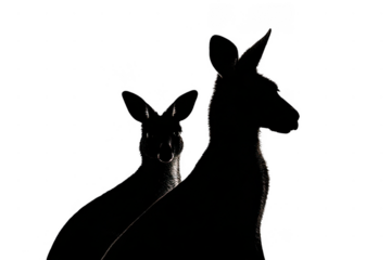 Two kangaroos are standing next to each other