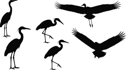 Fototapeta premium Heron and crane bird silhouettes set, elegant flying and standing poses, black wildlife vector illustration collection for nature, logo, branding design