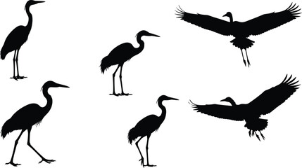 Fototapeta premium Heron and crane bird silhouettes set, flying and standing poses, black wildlife vector illustration collection for logo, branding, decoration, nature design