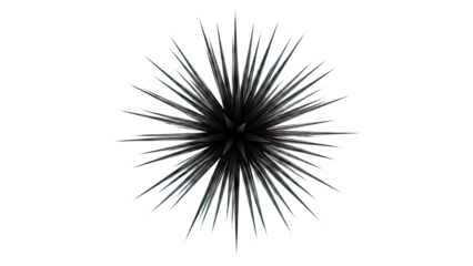 Black Spiky Abstract Object on White Background