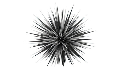 Abstract Black and White Spiky Geometric Form