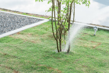 Watering your home's garden, garden trees, and symbol tree
