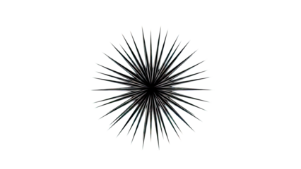 Black spiky starburst against a white background