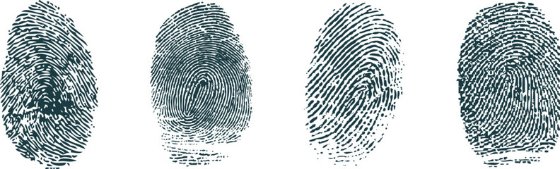 Set of Realistic Human Fingerprint Patterns for Forensic, Biometric, and Identity Verification Design