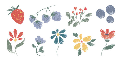 Crayon doodle flowers and berries set isolated on white. Vector illustration of cute hand drawn pastel plants, bright color botanical design, garden, field or forest elements, greeting card decoration © klyaksun