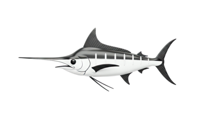 Black and White Marlin Illustration
