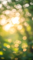 Obraz premium Golden Hour's Embrace