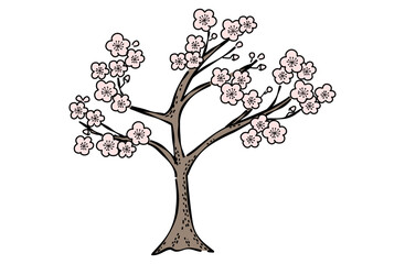 梅の木のイラスト(線あり)