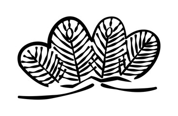 松の枝の線画イラスト 01