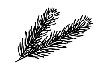 松の葉の線画イラスト