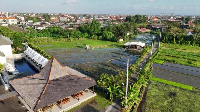 Bali rice fields, filmed over several spots north and east of Canggu and the west coast, showing still there are patches of rice fields being worked on by the locals as the construction of villas and 