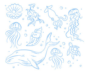 Obraz premium Doodle set of marine animals isolated on white. Vector illustration of blue line shell, fish, squid, jellyfish, whale, turtle swimming in water with bubbles, exotic sea animals, underwater wildlife