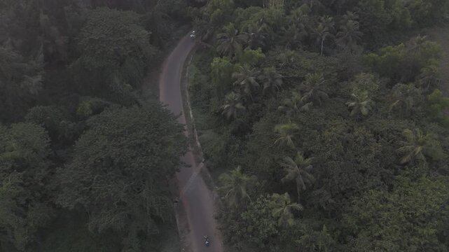 Sunset view of Morjim turtle nesting beach, Goa in winter, showing a coastal road winding through lush greenery with coconut palms and native vegetation, and the Arabian Sea in the background.