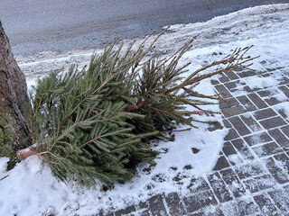 Discarded natural Christmas tree lying on a snowy sidewalk after the holiday season, highlighting post-holiday cleanup and the recycling of real trees in urban winter environments