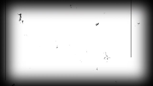 Old Movie. Real hard 8 mm film scratches. 4K animation