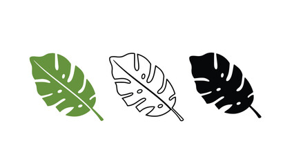 A minimalist illustration of three monstera leaves in different colors and styles