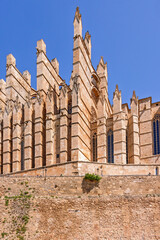 Palma cathedral with flying buttress in a low angle view