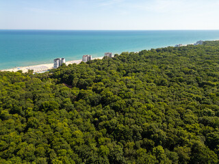 Aerial view of a dense green forest stretching to a sandy beach and turquoise sea. Natural coastline landscape with contrast between wild nature and seaside resort buildings