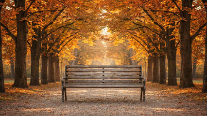 Symmetrical view of an empty wooden bench in an autumn park with central composition.