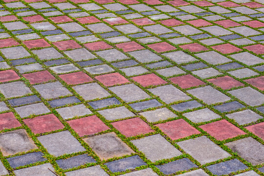 Patterned concrete paving stones with natural grass lines forming a repeating geometric ground texture