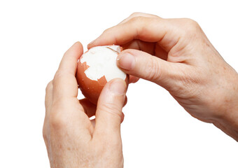 A person is holding an egg and peeling it