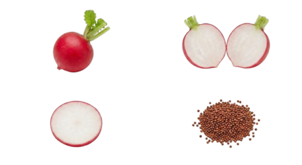 Crisp Red Radishes Arranged On Black Canvas, Whole Halved And Sliced Rounds Paired With Coarse Brown Seeds,