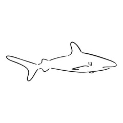 Fototapeta premium Shark vector illustration black ink outline. Hand Drawn. Shark line art logo icon design. Simple modern minimalist animal logo icon illustration vector. Shark icon, vector sketch illustration