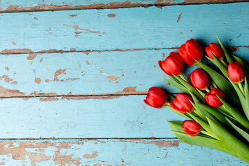 Directly above shot of fresh red tulips on old blue wooden table with copy space