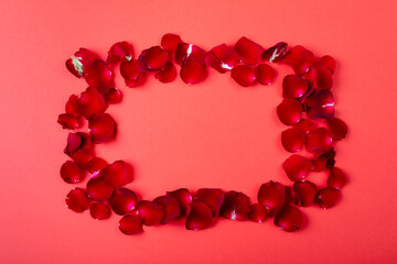 Obraz premium Overhead view of re rose petals arranged on coral background, copy space