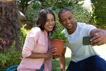 Cheerful young african american couple taking selfie with potted plant through smartphone at garden