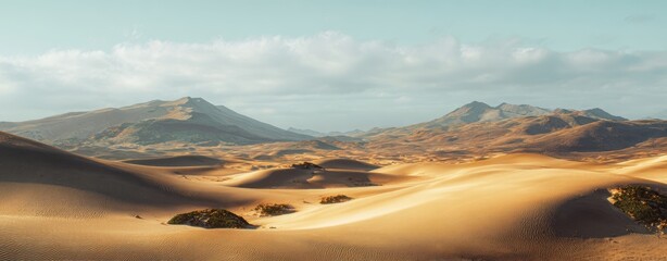 The desert dunes bathed in golden light with distant mountains under soft sky