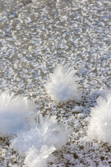 A detailed macro photograph of delicate snow crystals,